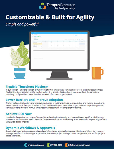 Tempus Timesheet Unlimited Timesheets ProSymmetry